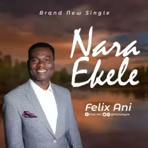 Felix Ani - Nara Ekele